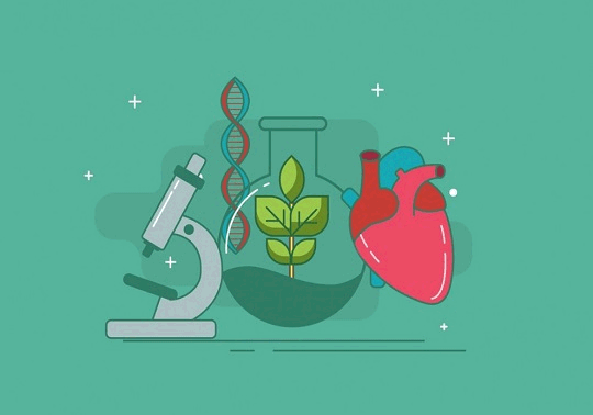 La Biologia a les teues mans